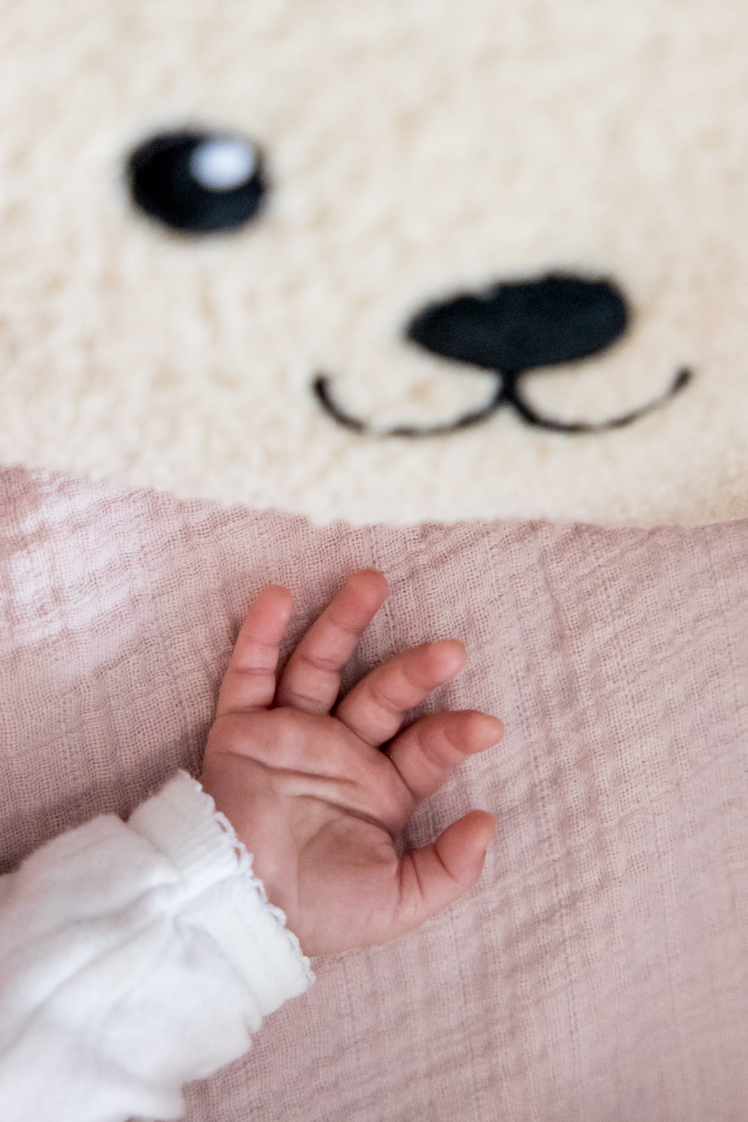 Detailfoto van het kleine handje van de baby dat een knuffelbeer vasthoudt