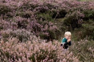 Portret van hun zoon tussen de heide op Het Leesten in Ugchelen, lachend met zijn handjes voor zijn mond tijdens de zwangerschapsreportage.