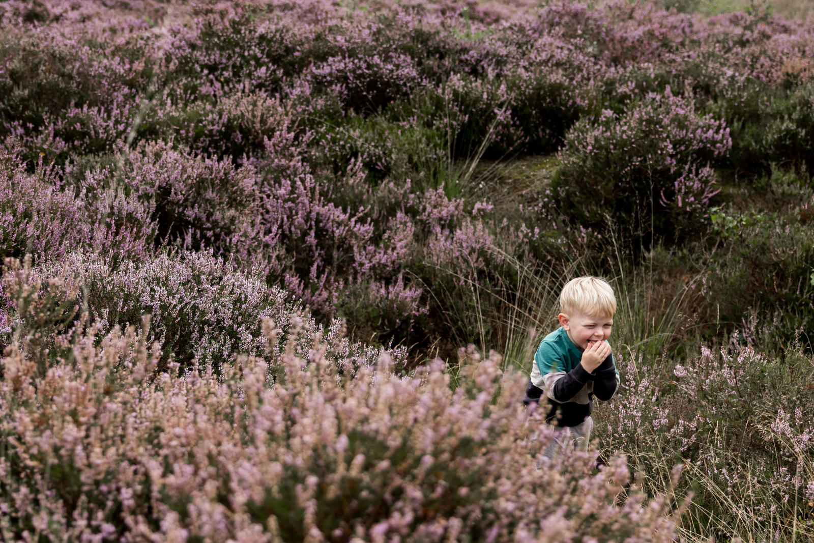 Portret van hun zoon tussen de heide op Het Leesten in Ugchelen, lachend met zijn handjes voor zijn mond tijdens de zwangerschapsreportage.